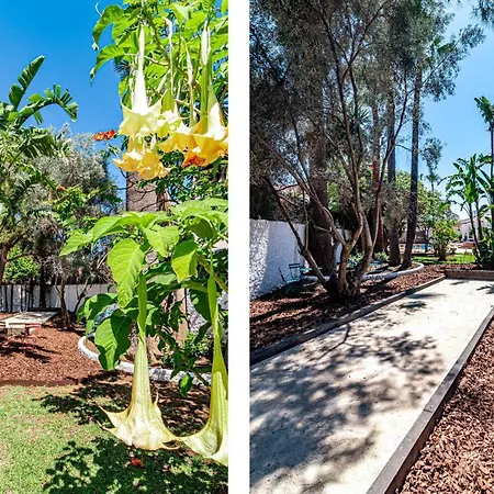 Seaside Paradise With A Private Pool And Walking Distance To The Willa